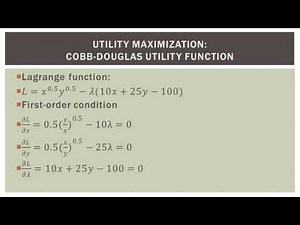 [大學Micro] Utility maximization - Cobb-Douglas Utility (Lagrange multiplier)