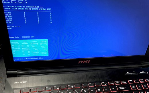巧妙使用MATS检测笔记本双显卡NVIDIA独显显存
