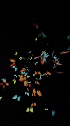 butterfly effect black screen