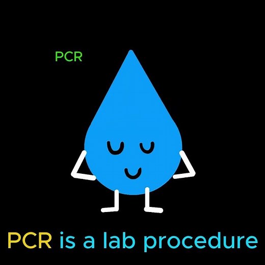 Do you understand your PCR result? #biology #h2obiology #covid