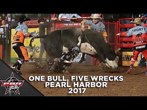 One Bull, Five Wrecks: Pearl Harbor