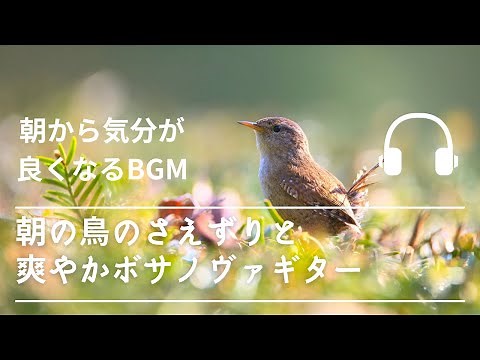 Natural Sonic「朝の鳥のさえずりとさわやかボサノヴァ」 - 朝から気分が良くなるBGM -