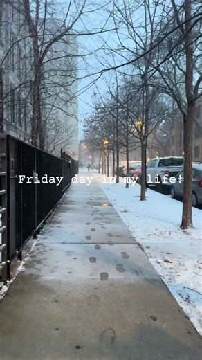 A Day in My Life: Friday in Chicago