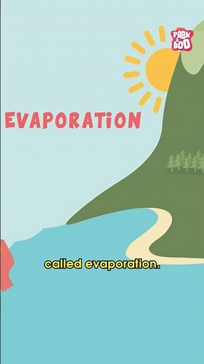 The Water Cycle | World Water Day 2024 #watercycle #worldwaterday2024 #drbinocsshow #peekabookidz