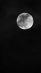 287K views · 8.2K reactions | En el Desierto voy creciendo  | Daddy Yankee | Facebook