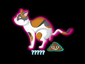 Cat "Pooping" Sound Variations in 30 Seconds