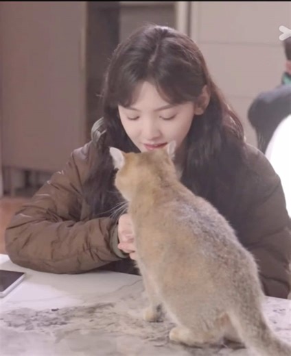 Behind the Scenes of The First Frost Drama Series