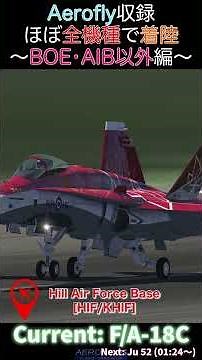 【Aerofly】ちょこっと解説も加えたAerofly収録のほぼ全機種で着陸 〜BOE•AIB以外編〜 #shorts