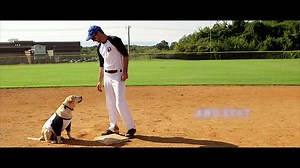 Petsafe Spring Training! $30 off sportDOG 425S Stubborn Dog Trainer and sportDOG 425 FIELD TRAINER for the month of May! Shop in store NOW! | Hollywood Feed