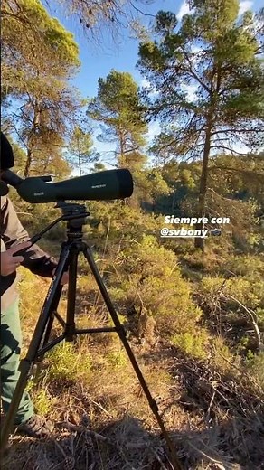 Field observation: Svbony SV28A 25-75x100 spotting scope in combination with SA402 tripod.