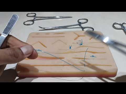 7) Suturas Básicas: Punto Lembert