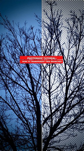 How to transparent comples object and remove background using adobe #photoshop