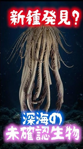 【新種発見？】その正体が衝撃すぎた #深海#deepsea #雑学