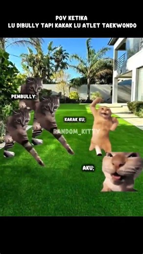 his older brother is a hero 😁 #catmeme #older brother #tekwondo #bully #catmemes #viral #funny #m...