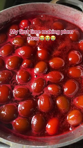 Plum Chicken Stew Recipe for Beginners