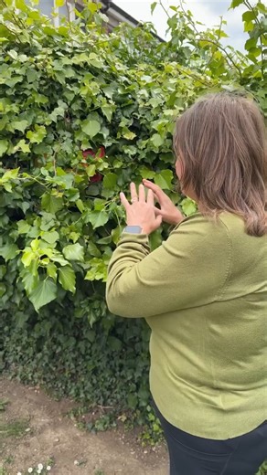 4M views · 30K reactions | Millionaire Woman Finds An Old Gift | Charlie Davis | Facebook