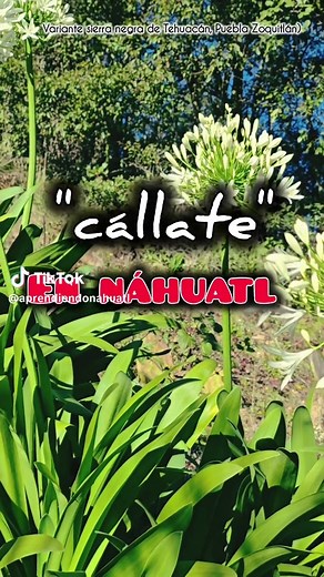 Cállate en Náhuatl: Significado y Contexto Cultural