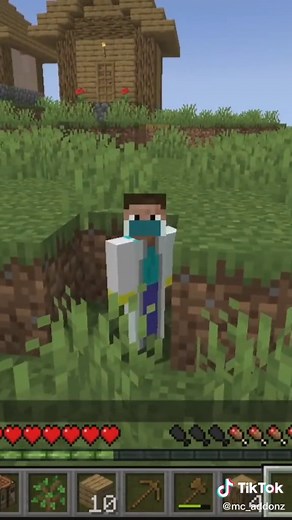 Shrinking Challenge in Minecraft