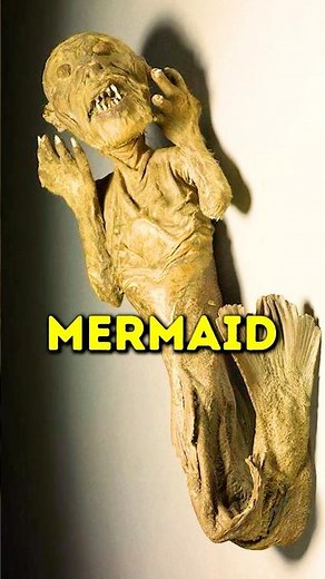 Things That Actually Exist 😲