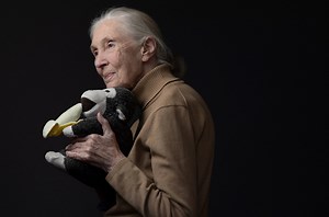 Listen to Jane Goodall’s final — and urgent — messages
