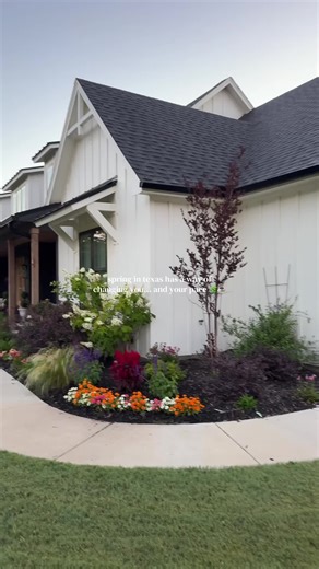 Spring in Texas is something special #comfortcreator #countryliving #tinyhomestead #springiscoming