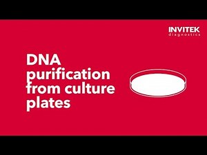 InviPrep® Fast Lysis Buffer - Culture Plates