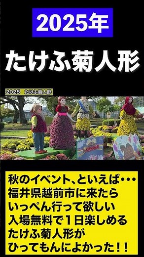2025 Takefu Chrysanthemum Doll #shorts