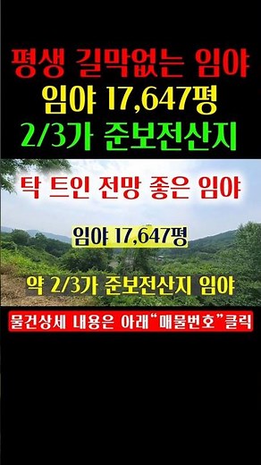 [1479] 길막 없고 전망이 탁 트인 임야매매
