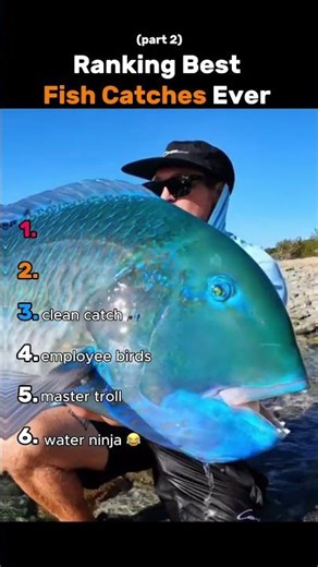 Ranking Best Fish Catches Ever (Part 2)