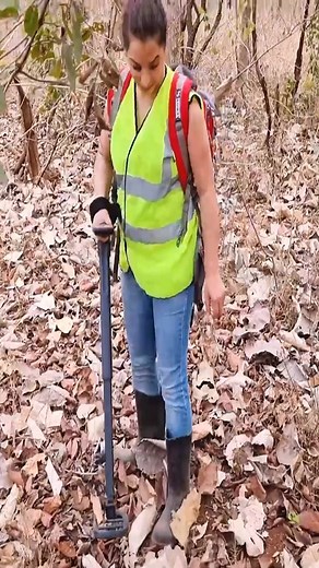 Finding Hidden Gold Coins with a Metal Detector