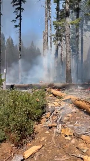 U.S. Forest Service-Plumas National Forest on Reels