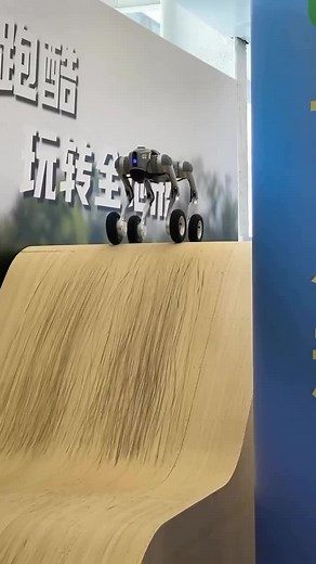Next-Gen Robo-Skater: Redefining Agility and Fun