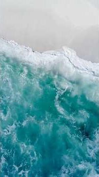 Ambergris: The Substance That Changed Perfumery Forever #MythologyOfLuxury #Ambergris #Perfumery