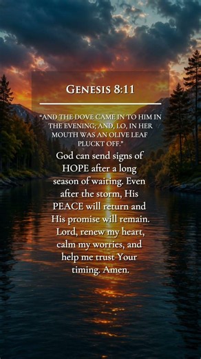 The Dove Returned With An Olive Leaf ✨ Genesis 8:11 | A Sign Of Hope After The Flood #bibleverse