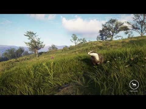 Call of the wild (NEW MAP)