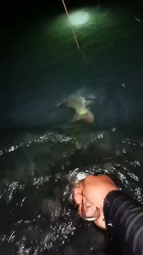 Karpa #fishing | Edwin Acosta Tuliao