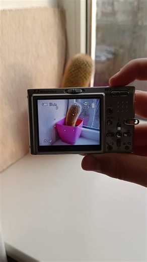 💥Camera Sony Cyber-Shot DSC-T10 digital compact💥Canon Nikon Kodak💥Y2K Nostalgia 2000s Digicam Shorts