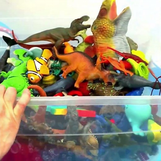 What’s in the Box? 🥣 🦖 Lobster, Walrus & T-REX!