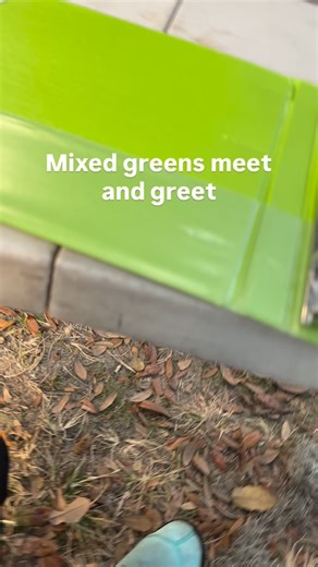 mixed greens meet Greet | Jessicamarie Mathis