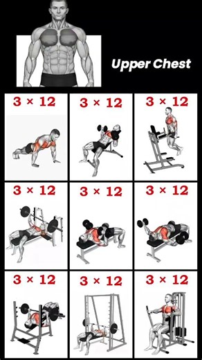 Grow Your Upper Chest FAST! | 5 Best Exercises 💪