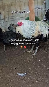 😍 | Ángel Jiménez