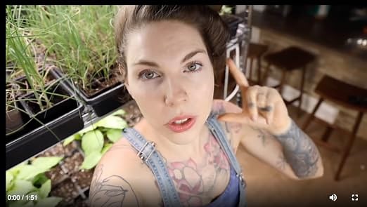 How to Grow Seedlings with LED Grow Lights at Home