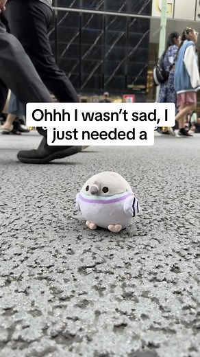 Pigeon Plushies: The Perfect Companions for Every Mood
