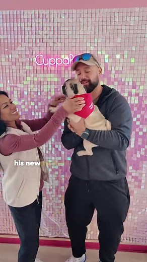 Last Tomato Pug Adoption at CuppaPug