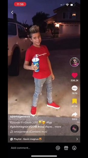 Gavin Magnus TikTok Memes: Hit or Miss? Funny or Not?