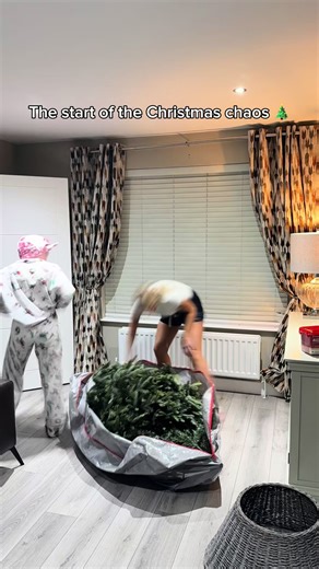 How to Decorate Your Christmas Tree in a Week