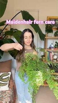 Maidenhair fern care! A Fluffy and Truly low light Houseplant #LowLight