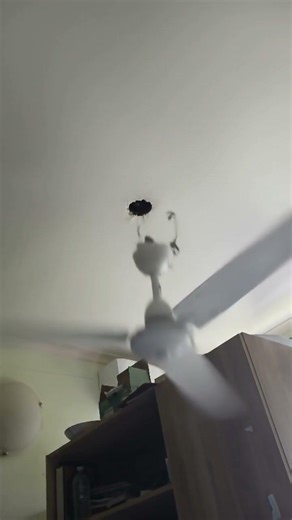 Clipsal Airflow fan fall down (AI)