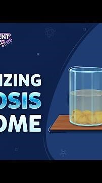 Visualizing Osmosis at Home | NCERT Class 9 Experiment | #ExperimentShorts