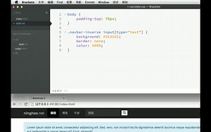 bootstrap4中文视频教--程-导航栏中的表单